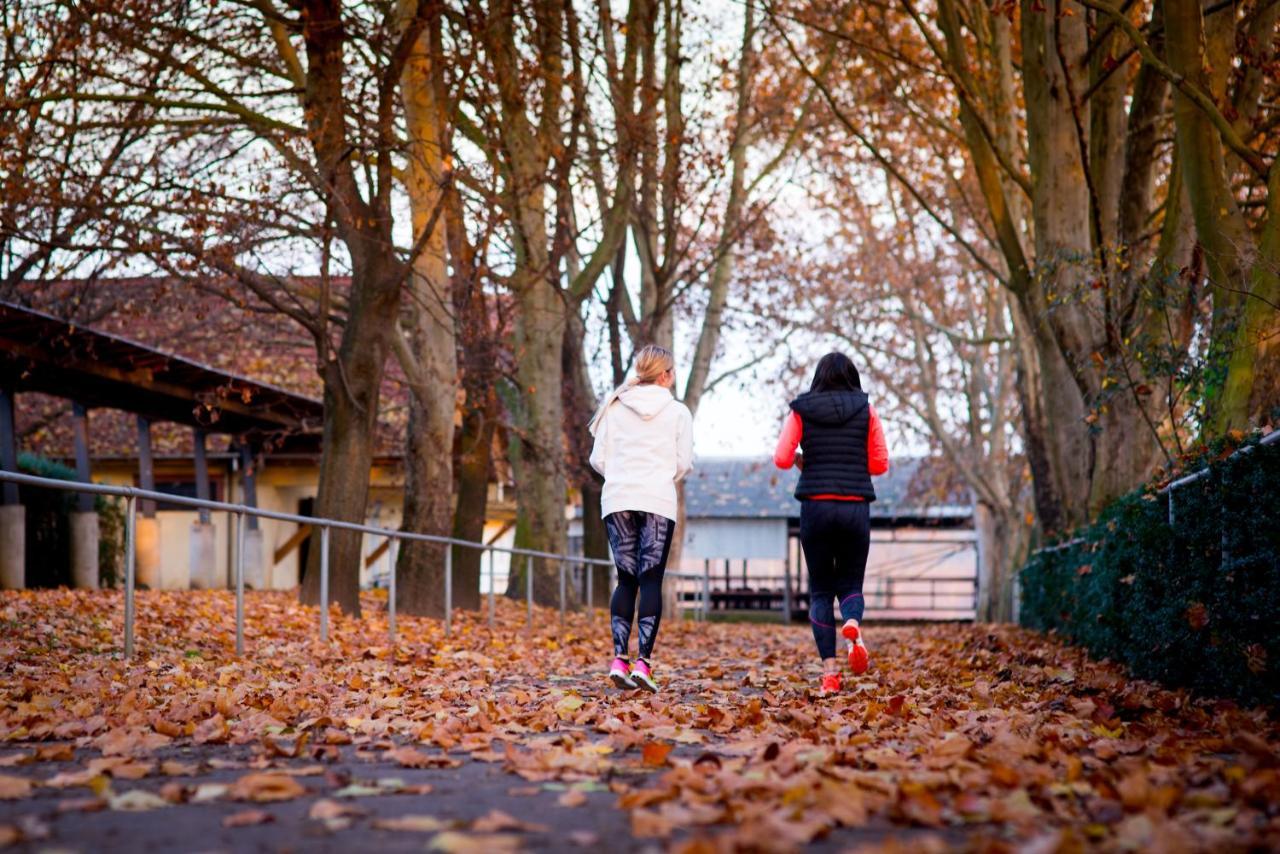 Hotel Pagony Wellness Nyíregyháza Zewnętrze zdjęcie
